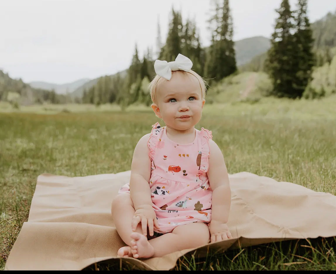 Farm Ruffle Baby Dress + Bloomer Set