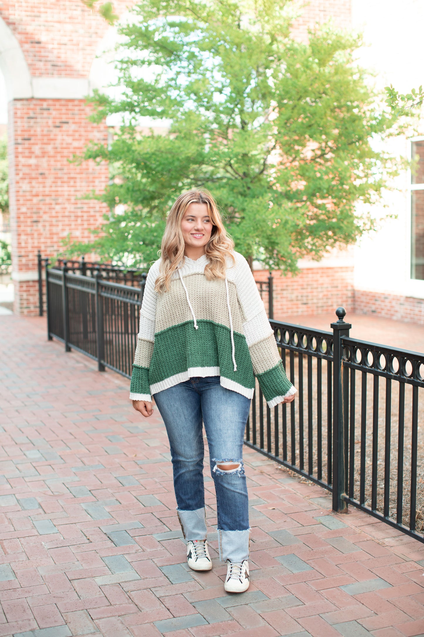 V-Neck Hooded Color Block Chenille Sweater